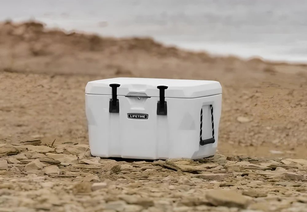 beer ice chest cooler