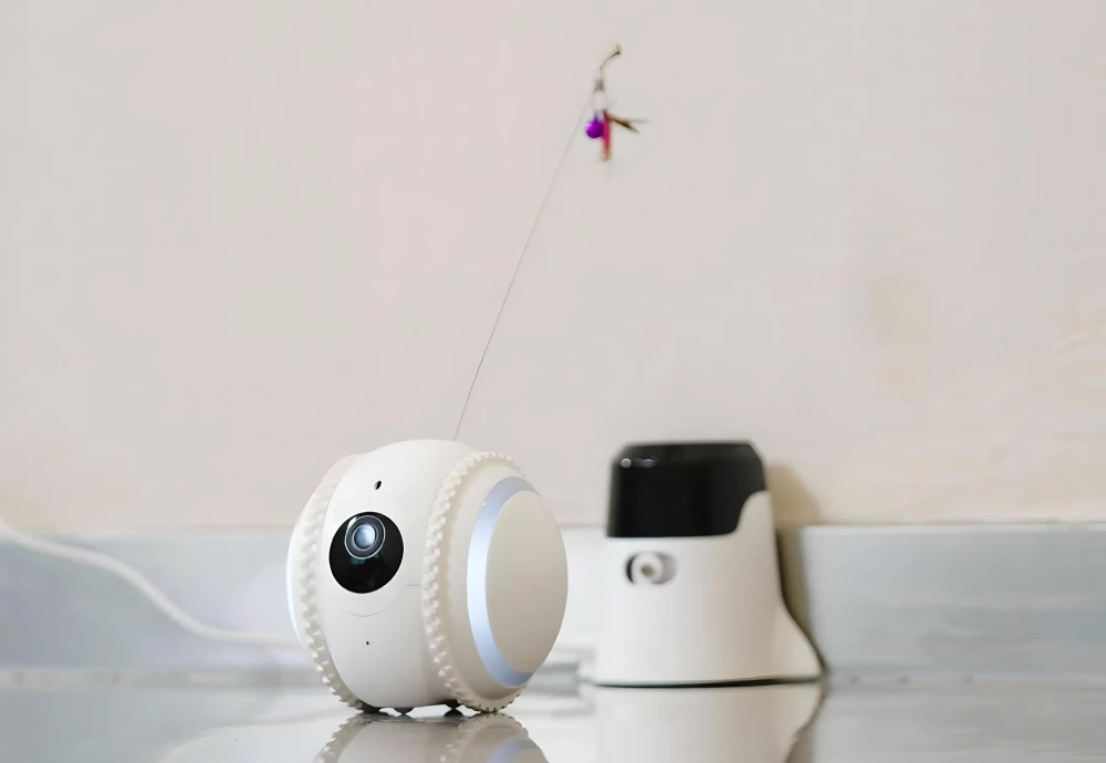best indoor camera to watch pets