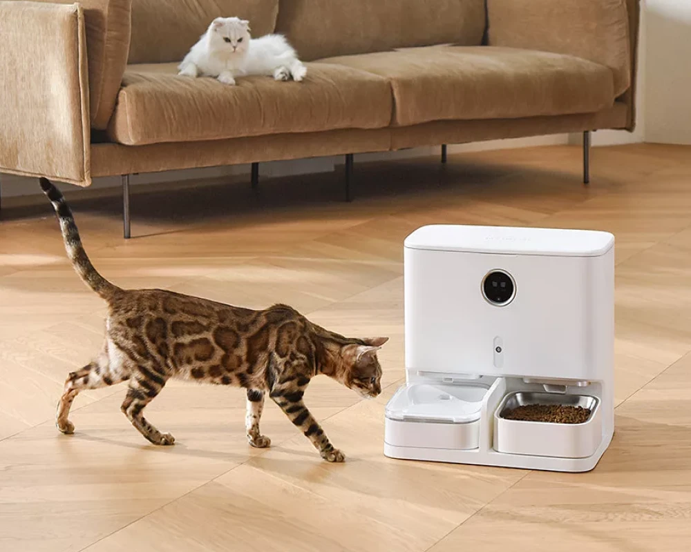 best automatic cat feeder with camera